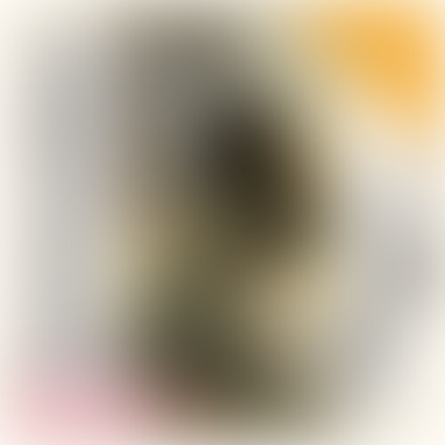 ð¬ãã©ã³èŠèŽçšåç»ð¬
â
No158ã®æ¬ç·š/mainåç»
ãå®å
šçŽ äººãªã¢ã«åç»#158ããã£ããè
¹çãã£ã€ã人èŠç¥ããªå¥³ã®åïŒåŠå¥³åªå€±ãã2åç®ã®SEXã§ãã#100%ãªã¢ã«
â ïžãããŒã¯ããšãæ¬ç·šãã§åãããŠããŸãã
ââæ®åœ±ç§è©±
https://real-shirouto.com/2024/01/07/no158/
ââåäœè²©å£²
https://myfans.jp/posts/15345f08-498e-454d-91f5-d91b5e362a93
ââãã©ã³èŠèŽçšãéè«/talkåç»ã
https://myfans.jp/posts/892c3108-6d62-4862-8347-91b44a3efb5b
ââåäœåãšé¢é£åç»ãªã³ã¯ãŸãšãïŒããåç»/Sampleå«ãïŒââ
ââSummary of each work and related video links (including petit videos/Samples) ââ
https://real-shirouto.com/2023/09/26/sample1/
ðœèŠèŽå¯èœãã©ã³ðœ
â«ïžã³ã³ããªãŒãALLïŒDLãã©ã³â«ïž
ðŽãã¬ãã¢ã ALLãã©ã³ðŽ
ðµã¬ã®ã¥ã©ãŒ3980ãã©ã³ðµ
ãŒãŒãŒãŒãŒãŒãŒãŒãŒãŒ
â¡ïžâââäœåäžèЧ
https://adult.contents.âââ.com/users/realist_cos/
â¡ïžmyfansåäœäœåäžèЧ
https://myfans.jp/realist/single_plan_posts
â¡ïžããã°
https://real-shirouto.com
ãŒãŒãŒãŒãŒãŒãŒãŒãŒãŒ
ð®ææ³çãã³ã¡ã³ãã«æžããŠããã ãããšãšãŠãå¬ããã§ãð¥º
ð®ã€ã€ãããã©ããŒçããã ããŸããšããããé 匵ããŸãð¥ºãèŠæã»ã質åçããæ°è»œã«ã¡ãã»ãŒãžããŠãã ããð©
ãŒãŒãŒãŒãŒãŒãŒãŒãŒãŒ
ãã¢ã¶ã€ã¯ã¯ãããã©ãªããèŠãããªãåç»ã
ãããã³ã³ã»ããã«æ®åœ±ãè¡ã£ãŠããŸãã
ãçŽ äººã®å¥³ã®åãšã®âãªã¢ã«âãªäŒè©±ã
ã女ã®åã®âãªã¢ã«âãªè¡šæ
ãããåãã
ã€ããŸãã女ã®åããç²ãããšèšã女ã®åãããããªã«å€§ããã®åããŠã§ããšèšããªãããè
¹ãæŒããèŠæ¶ã®è¡šæ
ãæµ®ãã¹ã女ã®åãã»ã»
å
šãŠãå
ã¿é ããããªã¢ã«ã«æ®åœ±ãããŠãããŸãã
ã€ããŸãã女ã®åããå
šãã€ããªã女ã®åããå
ã¿é ãããªã¢ã«ã§ãã
åäžåºããèš±ããŠããã女ã®åããèš±ããŠãããªã女ã®åãããªã¢ã«ã§ãã
ä»ã®åç»ã§ã¯èŠãããªããããªåç»ãæèããæ®åœ±ãããŠãããŸãã
ãã€ãå¿æŽããã ãããããšãããããŸãã
ãŒãŒãŒãŒãŒãŒãŒãŒãŒãŒ (2/2)