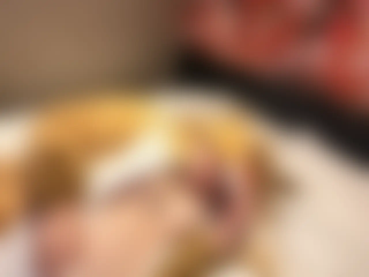 ハレンチトナカイ sample 8