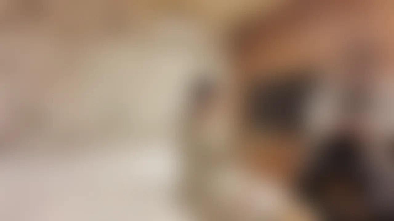 今回は…正直に言うと、すごく複雑な気持ちです。

旦那が連れてきた単独さん、写真とは全然違って無愛想で会話がまるで弾まなくて…。最初の10分で「来なきゃよかったのに…」って心の中で思っちゃいました。

脱衣場でため息ばかりついてたら、旦那がノックしてきて「遠くから来てくれてるんだ、ちょっとだけお願い…」って。小声で頼む旦那の目が、いつもの「見てみたい」オーラ全開で…もう断れませんでした。

「わかった、頑張ってみるね」って笑顔作った自分が、ちょっと情けなかった。
でもベッドに入ったら、彼のテクニックが意外と上手くて。指が触れた瞬間「あ…っ」って声が出ちゃって、体が完全に裏切りました。
頭では「最悪だって思ってたのに…」って葛藤してるのに、腰が勝手に動いちゃうんです。
体の相性抜群だったみたいで、すぐにイッて、二発も容赦なく中に出されて…。
終わった後、旦那が満足そうに頭を撫でて「最高だったよ」ってキスしてくれたけど、私の心はぐちゃぐちゃ。

「旦那が一番好き」なのに、あのテクにハマっちゃった自分が怖くて…。
心理的に本当に揺れてしまいました。 (2/2)