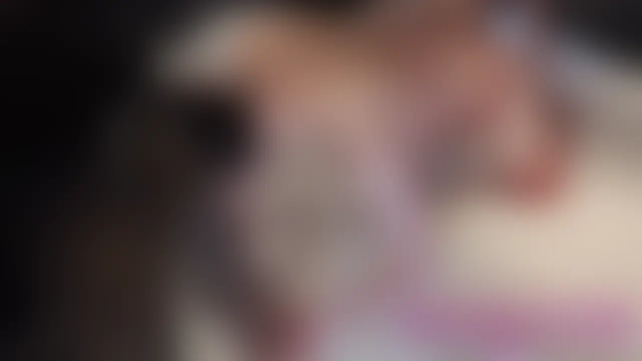 ♡後編♡【イケメン大手裏垢男子さんと、いちゃボコセックス】

後編では初っ端からアナルセックスしてます🥰

その後はイラマしたり、立ちバックでお潮吹いたり、騎乗位で攻めたり❤️

最後は正常位からの顔射でしっかりお掃除フェラして終わりです🥳💙 (2/2)