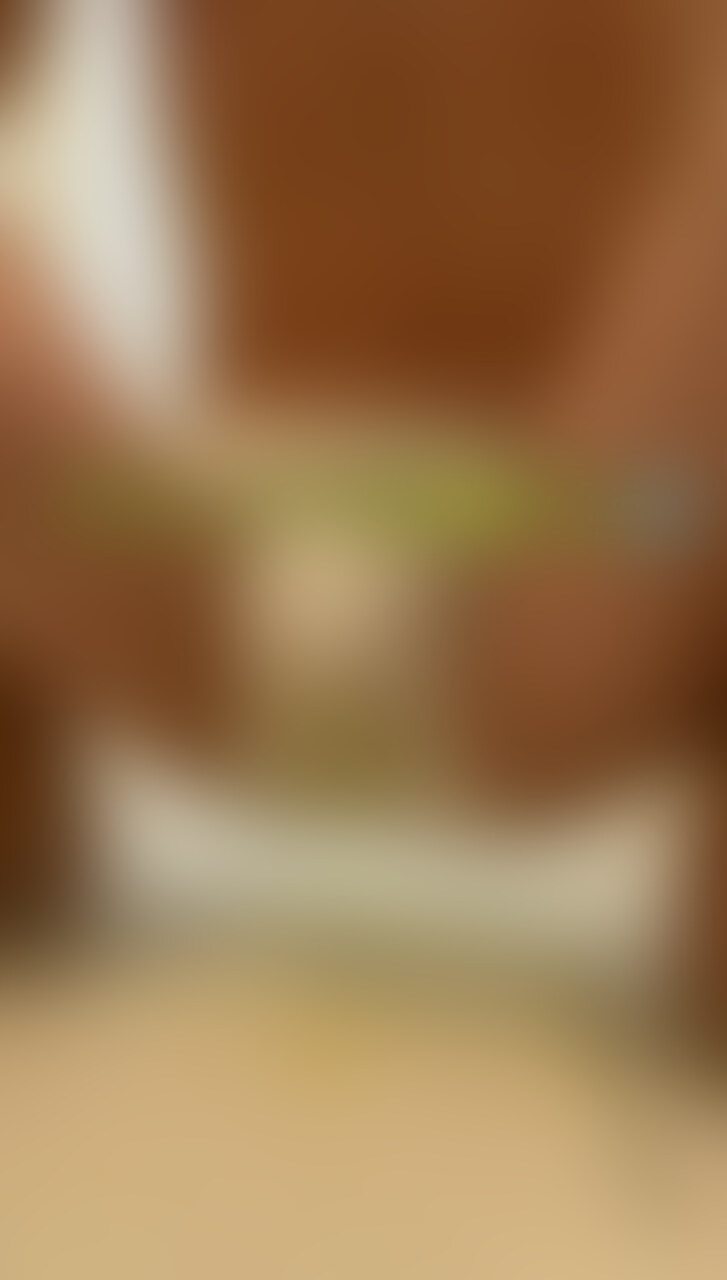 大好きなブリーフを履いてオシッコしちゃいました💦 sample 1