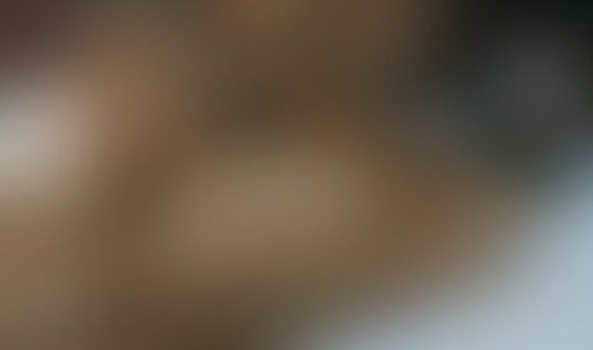 冒頭15秒以降は顔加工なしです!
プラン用となります! (2/2)