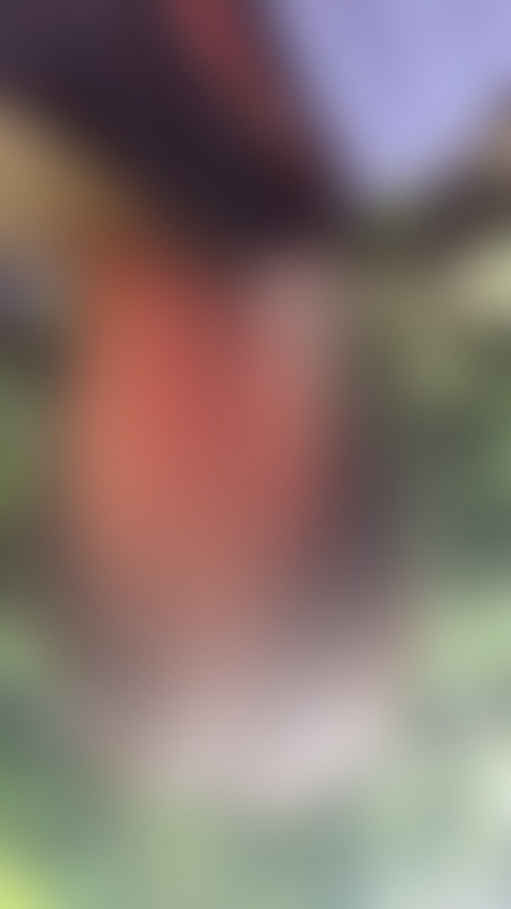 貸出動画1作目の完全版です。
プラン内で公開していた動画はごく一部ですが、約2時間22分の超ロングバージョンを販売のみで公開します♪
カメラ移動を除きほぼノーカットです。
大まかな収録内容はタグを見てください💗 (2/2)