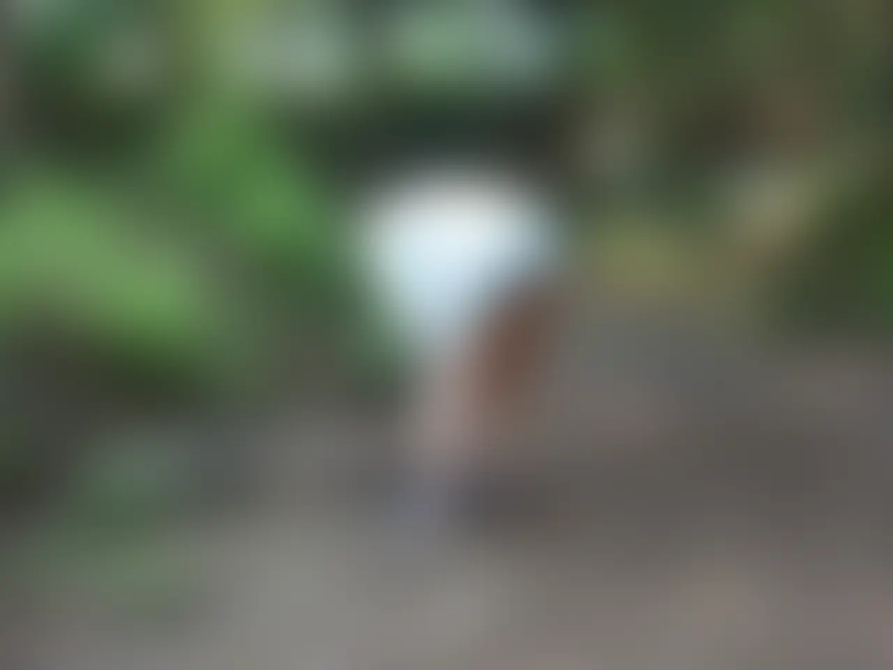全裸チャレンジ「ここを見てくれている人に需要があるかわかりませんが、SNSなどでの宣伝用に着衣の写真も少しだけ撮っています。」の投稿サムネイル