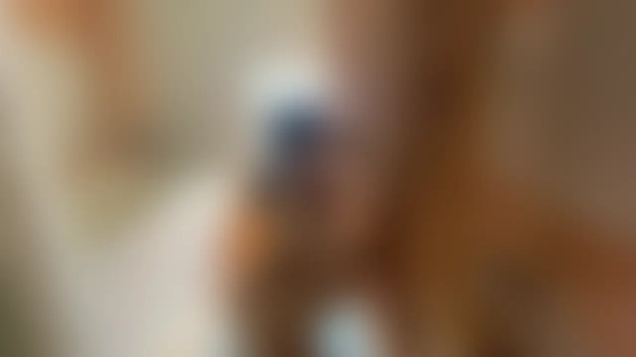 裏垢女子さらちゃん10章記念お試し動画セット
さらちゃんの動画10本を記念してさらちゃんの裏垢に投稿している動画から一部をもらってまとめ、こちらで公開することにしました!
お試し価格で単品500円でも販売しているので、さらちゃんの動画が気になっている方はこれを機に購入してみてください! (2/2)