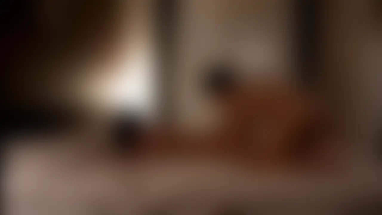 けいくんと引っ越し前に伊豆に旅行して sample 1