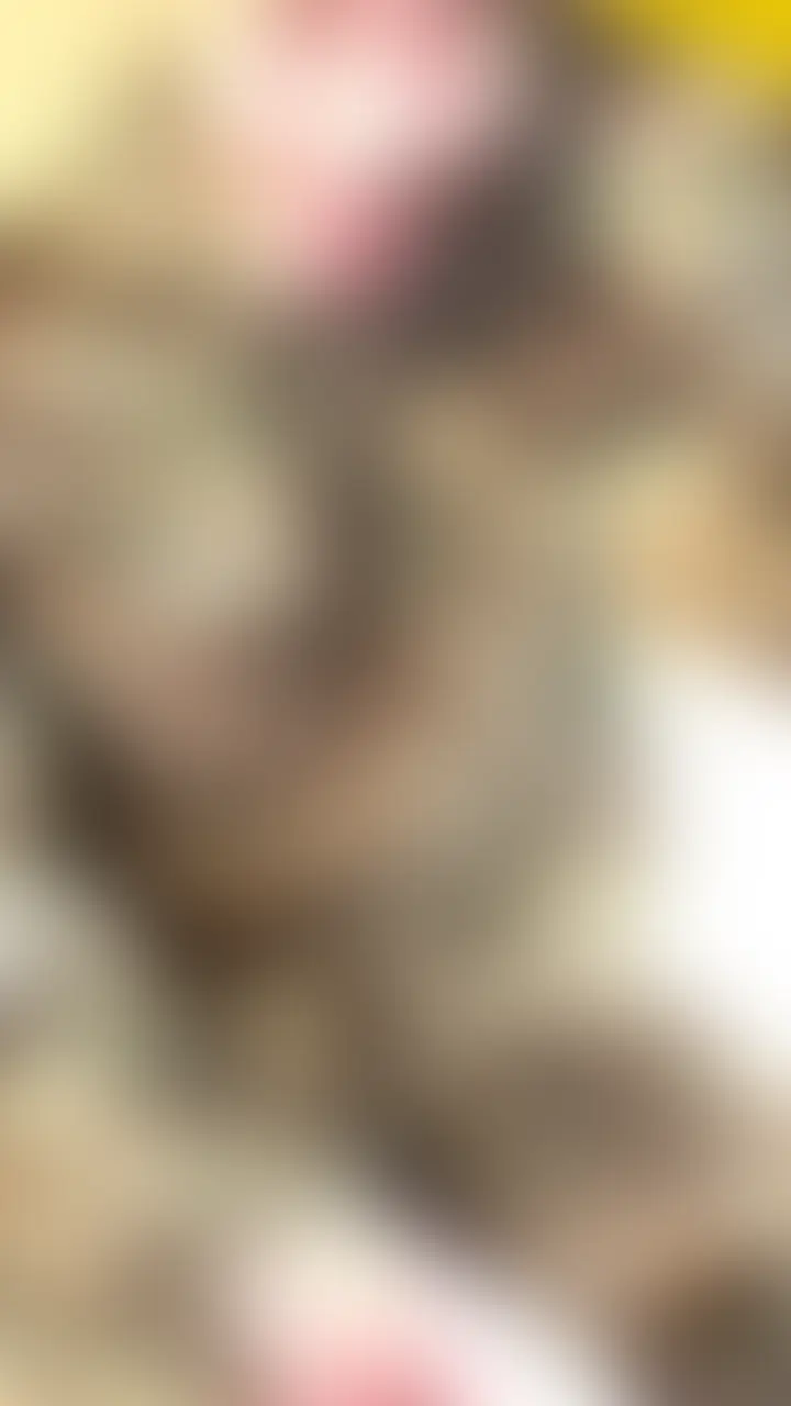 現役AV男優は欲しがり犬顔で髭マッチョ🐶🪖 sample 1