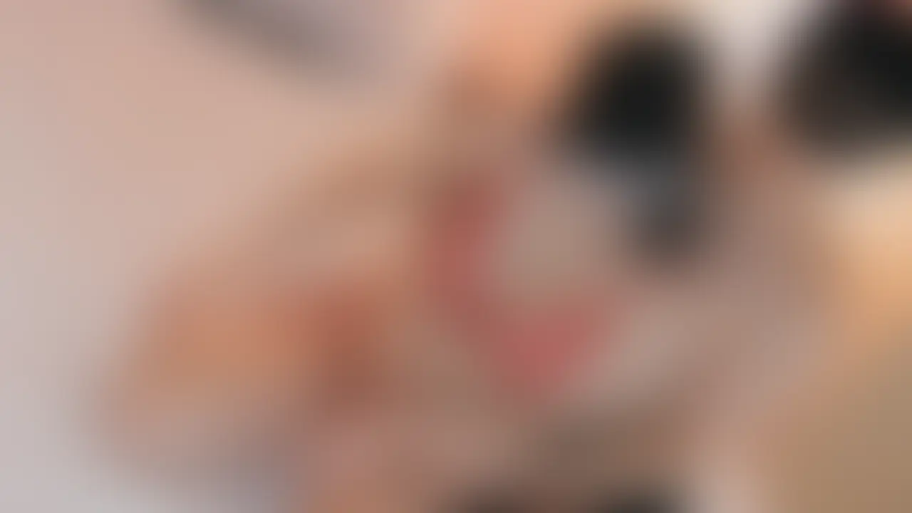 赤い下着の巨乳人妻が着衣セックス。優しく愛撫されたので、お返しにご奉仕フェラ。最後はバックから突き上げられちゃいます (2/2)