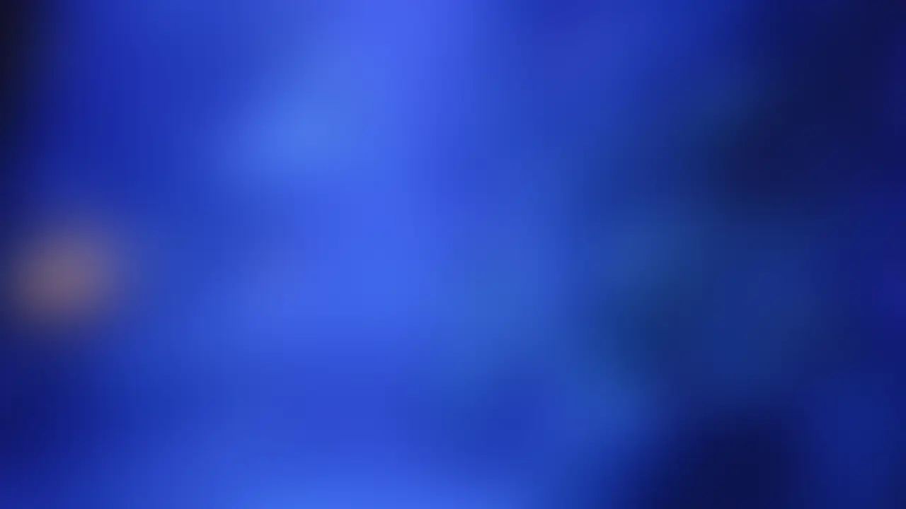 7月のりう大好きプラン加入&継続特典🎁 sample 1