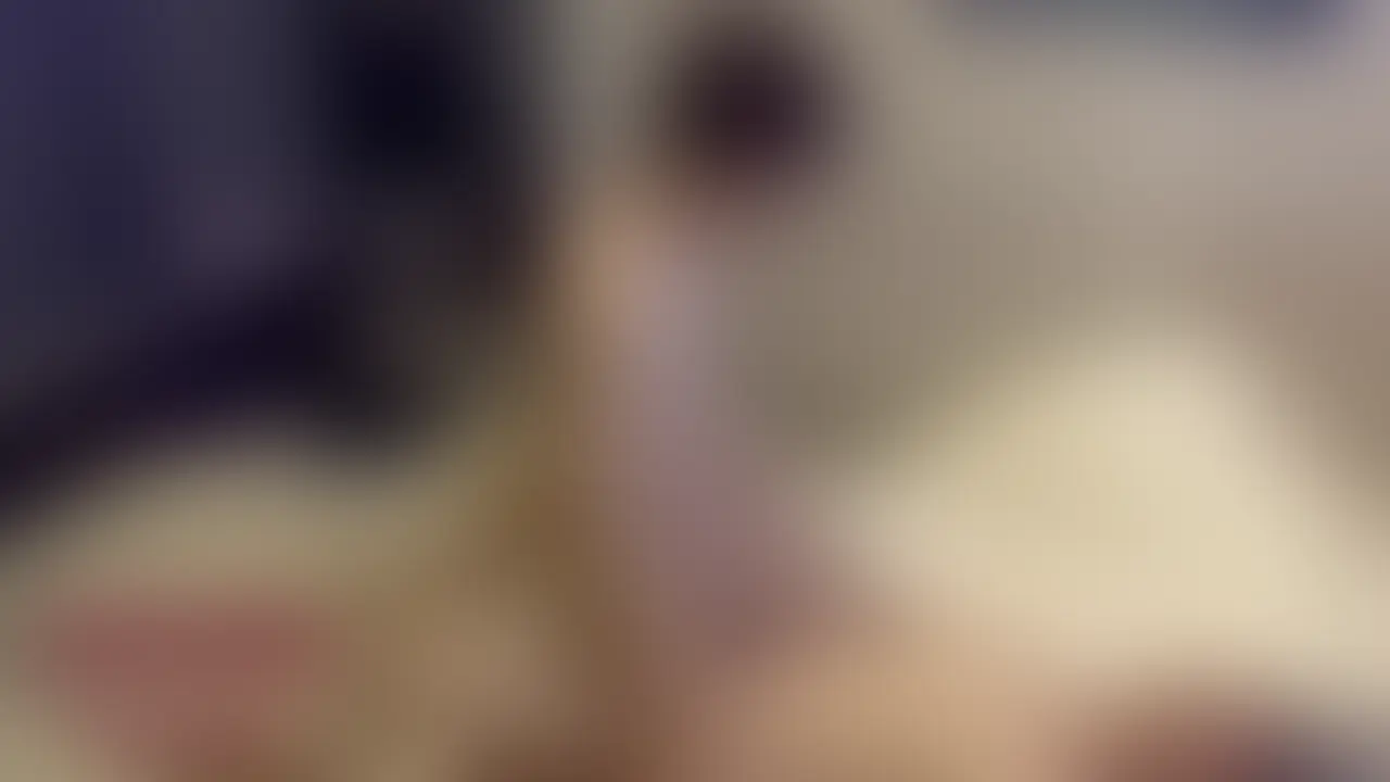 大学生可愛い系20歳と処女貫通SEX③ sample 1
