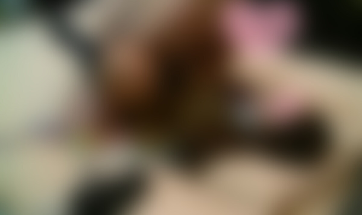 僕の経営しているJ〇リフレ(実態は好みの女の子に裏オプで援〇中出しもできる中出しギャルサー)で
お客様から接客対応でクレームが出てしまった女の子を呼び出し「再教育」を実施
この「再教育」は店の女の子達からは「妊娠懲罰」「孕ませ懲罰」っと恐れられている「再教育」
店では女の子全員の生理周期を管理していてお客様が女の子を選ぶ時に安心し中出しできるよう危険日は避け
アフターピルも支給
しかし「再教育」で呼び出される女の子は危険日に呼び出されアフターピルも渡されませんし最初の面接時に
ハメ撮りされており逃げる事ができませんwww
今回の女の子も既に2回妊娠しており1回はお客様の子、1回は僕に「再教育」され妊娠
「再教育」の様子もバッチリ撮影される始末
最初はフェラチオテクニックの確認
J〇リフレの制服に着替え「再教育」開始
お客様からはフェラチオも適当だとの事だったので丁寧にフェラチオをさせます
まずは僕が立った状態で既に勃起したチンポにご奉仕
制服を着たスレンダーなギャルが撮影されながら僕のチンポにむしゃぶりつく様子が卑猥卑猥!
そしてもっとフェラチオを堪能する為ベットに横たわり横舐め先端舐めバキュームなどイロイロ指導
お客様の裏オプ向上の仕方なく頑張らせていますwww
僕のチンポが十分に勃起したら女の子のオマンコを適当に指でイジりローション塗って挿入開始!
女の子の事一切愛してないし気持ちよくなるのは僕だけで良いので超適当wwww
避妊してない危険日オマンコに入って行くと「んん~ん」っと思わず声をだしてしまう気持ちよさ
危険日だと女の子の体温が上がり膣も自然と締りが良く子宮口も下がってきて男のチンポを気持ち良くする
条件が全て整ってます!
その危険日オマンコに避妊せず精子交じりの我慢汁がドロドロでてるチンポを生で突っ込めるのですから
J〇リフレのオーナーをやってて幸せな瞬間!
面接でも必ず女の子に中出しできるし研修や再教育でも中出しできるなんて幸せ
その危険日オマンコに自分の我慢汁を膣壁に擦り付けるように動きオマンコから伝わる体温を感じ取り
襞襞1枚1枚が亀頭に絡み付きチンポが出入りする度に快感が!
動く度に女の子は声を出しますが喘ぎ声っていうより子宮口を押され声が出ちゃってるって感じでちっとも
気持よくなさそうwww
その状況で「お客さんに一杯中出しされ妊娠しちゃったの?」など屈○○○的な質問をしてます
バックでチンポを挿入するとよりオマンコの奥までチンポが入り込み女の子が苦しそうにwww
しかし僕は構わず淫タビュー開始!
女の子にいろいろ言わせてますが本編でお楽しみください
このスレンダーなギャルはお尻が小さくバックでチンポを出し入れすると可愛いお尻の間に出入りするチンポ
が丸見えで超卑猥
今回は固定カメラ2台による動画ですがバックで思いっきり子宮口を突かれ苦しそうに声をだしている様子など
女の子にとっては気持ちよいセックスではなく完全に「妊娠懲罰」「孕ませ懲罰」って感じです
しかし危険日のオマンコってバックで突くとより違いが判り子宮口にチンポの先端を押し付けじっとすると
子宮口がウネウネっと動きチンポを刺激
妊娠する為に男を刺激しまくりより多くの精液を飲み込もうとするんですよ!
そんな危険日オマンコを堪能しいよいよお待ちかね「妊娠懲罰」「孕ませ懲罰」のクライマックス!
この日の為にオナ禁10日&エビオス錠服用で精液を溜めまくり!
何せ危険日で受精目的での中出しなんで上質な精液を1滴でも多く子宮内に注ぎ込みたいですwww
その気持ちよい危険日オマンコ内で遠慮なく溜まった精液をブチまける為にラストスパート!
今回も中出し前カウントダウンを表示
中出し前に切なく声を出す女の子が可愛そう
そして射精開始!
動画でハッキリ判りますが正常位でより膣奥で射精しようと腰を押し付け子宮口にチンポを押し当てている僕
毎回書きますがAVなどでは中出しダラ~リを撮影する為にオマンコ出口で射精しますが僕は孕ませ目的なので
膣奥で全て射精!
女の子は何とか逃げようとしてますが覆いかぶされ腰を密着させられてるので無駄無駄無駄!www
最後の一滴までオマンコの一番奥で射精し終えチンポを引き抜くと・・・・AVみたいな事やらなくても膣口から
精液がドロ~リ
女の子はお腹を押し中にはいってる精液を外に押し出そうとしていますが普通でも精液の量が多い僕
10日のオナ禁とエビオス錠服用で普通の人に2,3倍は多い精液量!
押しても押しても出てくる出てくる
当然ですが外に出てくる精液は子宮口に入りきらなかった精液!
すでに多量の精液が子宮内に入り込み女の子の卵子へ精子達が泳ぎ始めてますwww
なおこの時の撮影でこの子は見事妊娠!
堕胎費用は店からお金を借りる形で下しましたwww
この女の子はさらに僕の言いなりになってしまったのでしたwww (2/2)