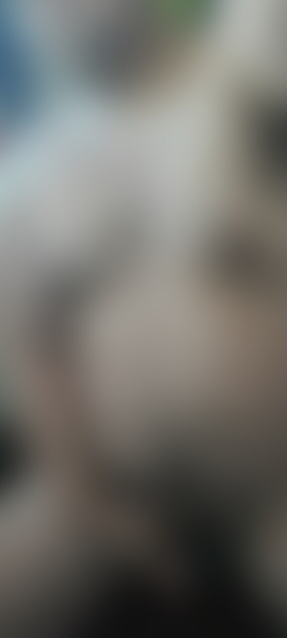 熊自撮り🐻 sample 1