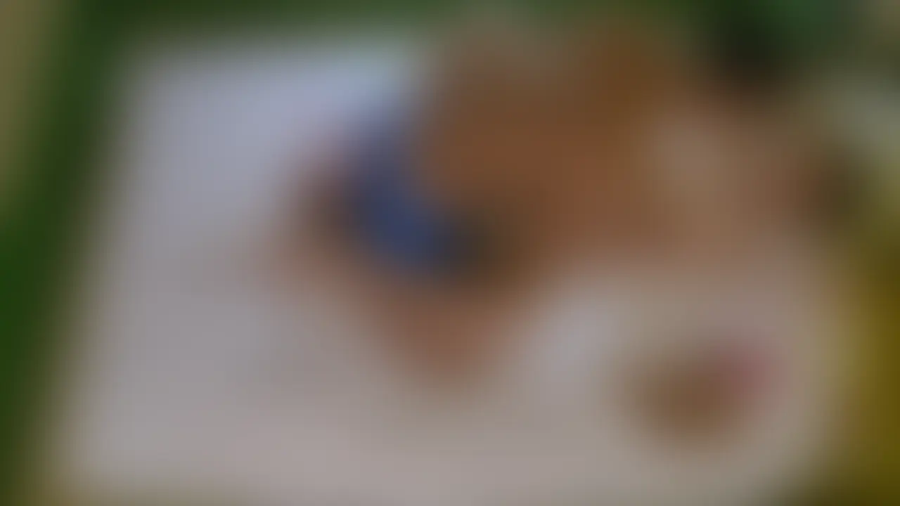 鍛えた体だからこそ、壊し甲斐がある sample 1