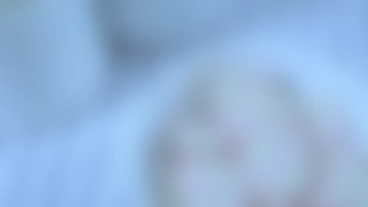 ライトプラン以上向けの動画になります。 (2/2)