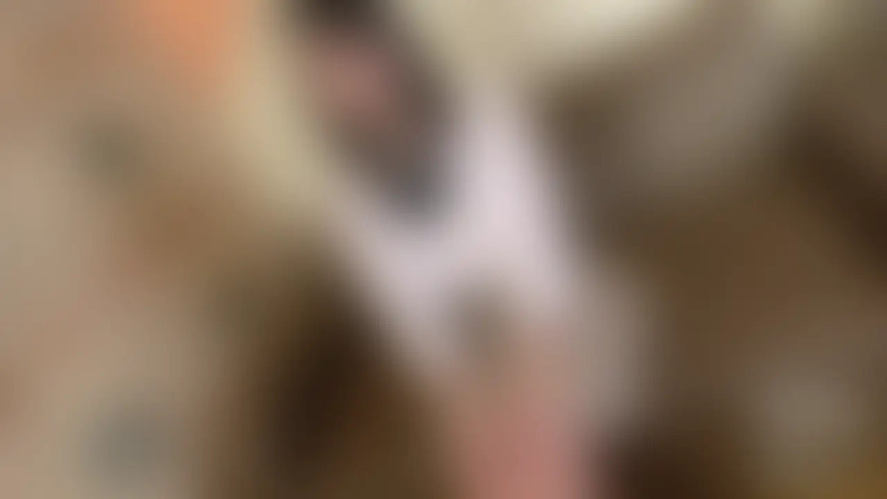 黒髪巨乳、素人美女のやよいちゃん。初撮り第1弾
中出しハメ撮り動画です。
制服コスプレで、パイパンまんこをクパーしたり、おもちゃ愛撫
しっかり咥えるフェラ、
生ハメで、正常位、バック、騎乗位、正常位で中出しです。 (2/2)