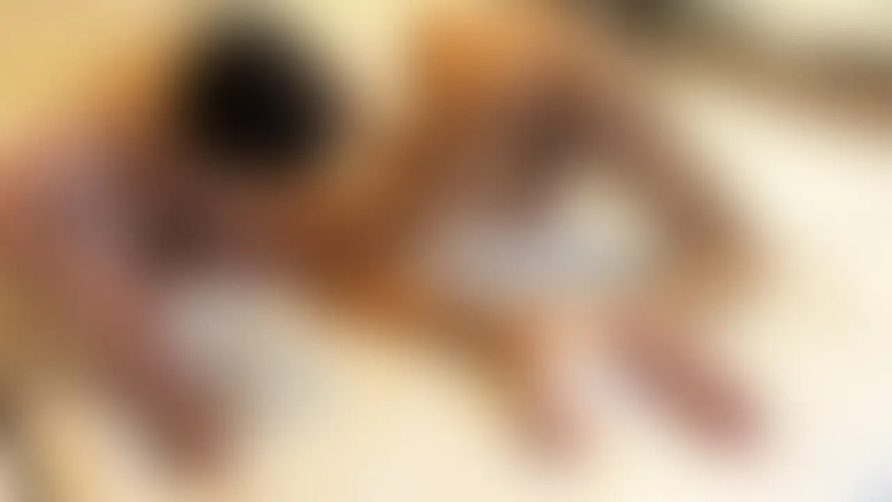 【最高に気持ちいい生三連結💦小麦肌大学生くんと生チ○コで繋がる快感がやばすぎた…】 sample 1