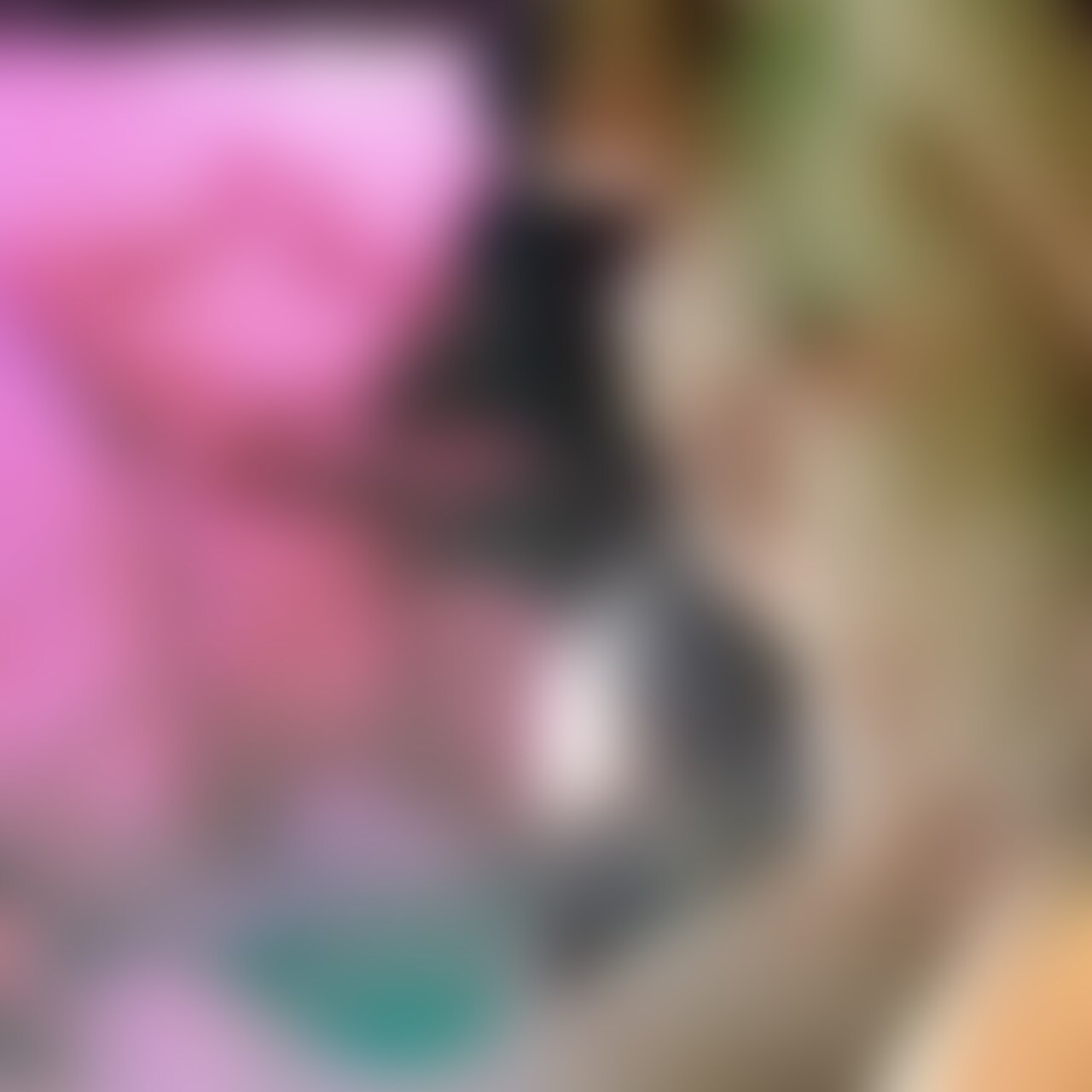 3度目ましての人見知りでスリムな女の子。
・縦アングル
🙇ご協力のお願いです🙇♀️
いいね❤️や些細なコメント✍️でもいただけると活動の励みになるのでぜひご協力お願いします!
前回と比べて進化したマッサージをしてあげるからと誘い会うことに。話を聞いてみたら、なんと前回会ったのが約一年前で、それ以降は人見知りもあり、めんどくさくて今まで誰とも気持ちいことをしていないとのことでした!
そうだと知ると、より前回より気持ちよくしてあげようという気持ちか湧き上がってきましたので、いざ性感マッサージ!
反応が薄い子なのでなかなかポイントを掴みづらかったのですが、今回は早い段階で息が荒くいなり、お腹から子宮に圧をかけながらマッサージで気持ちいいを貯めていきました。
乳首のパートに移って責めていくと、乳首が気持ちイイのか体がとてもイイ反応を示したので、重点的に責めていくことに。
そして、いつも自分でオナニーをするときおもちゃを使ってクリいきをするのは知っていたので、声は出さないが呼吸が荒くなってきた頃に、乳首とクリトリスの同時攻めを開始してきます。
するとお腹に力が入って子宮にどんどん気持ちイイのがわかってくるので、性感帯を攻めるのと同時に、子宮にも圧をかけながら中イキの反応も大きくしていきます。
いつもをおもちゃでしかクリいきしないのに、今回は手だけの刺激でクリイキするほど気持ちよくなってたみたいです!
あまり声を出すタイプではない女の子ですけど。お腹の圧が気持ちよいいと感じれるようになってくれたみたいです。
マッサージで圧の気持ちよさを感じてもらってそのあとは一年ぶりのチンコを堪能してもらいました。
フェラも濃厚でまずは乳首から徐々に下に下がっていくのですが噛み癖があるのでたまに噛んできて、意地悪をしてきます。それが気持ちイイんだけどね。
松葉崩しの体位の時に自分には見えてないけどカメラアングルにはバッチリ映ってたんだけど、自分でクリいじってたり、動きを止めて乳首触って上げてたら自分で腰動かしてきたりとどんどん積極的になってきてたね。
一年ぶりのセックスを満足してもらえたかな。 (2/2)