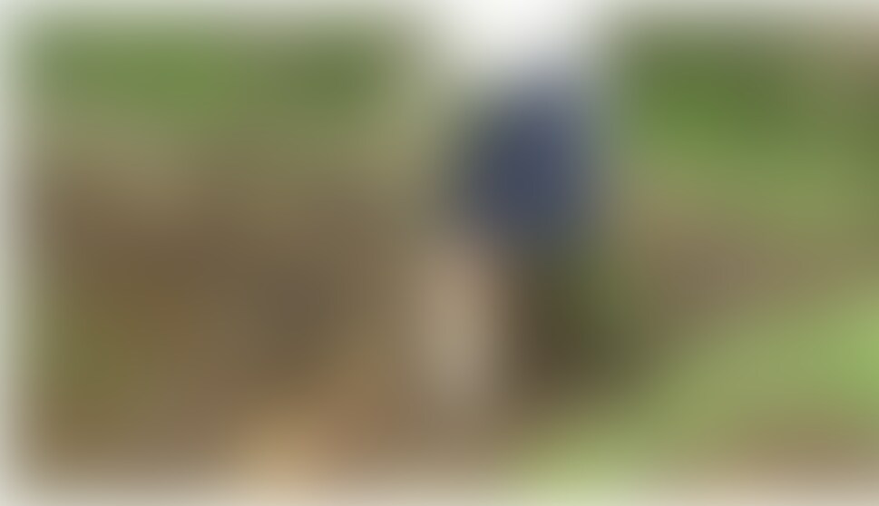 泥で白靴下を汚す (2/2)