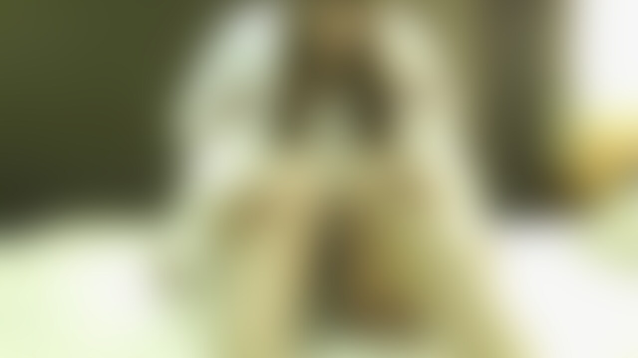 ファン登録してくれた会員さんと撮影会した時の写真や動画です💖
フォローといいねお願いします😍 (2/2)