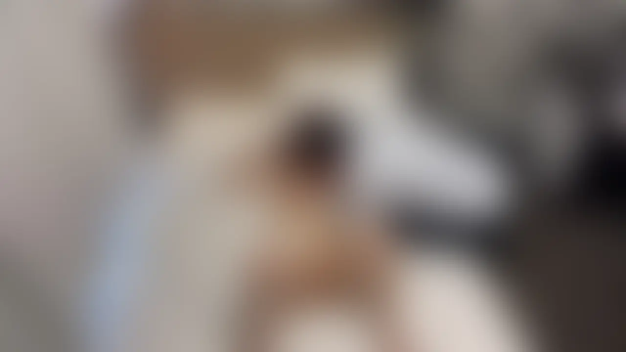 レモン🍋✖️スタイル抜群お姉さん✖️フォロワーさん
フォロワーさんを募集して
スタイルが良過ぎるお姉さんとセックスさせてみた
生セックスが気持ちよすぎて
すぐ射精しちゃってました、、 (2/2)