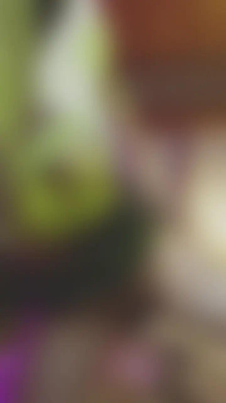 - - - - - - - - - -  [ title , comment ]  - - - - - - - - - -

騎乗位で子宮を吸盤みたいにおちんぽにくっつけるの超きもちー。


- - - - - - - - - - ⚠️⚠️⚠️- - - - - - - - - -

プランを購読していただくとと見ることができる限定動画です。
単品販売は一切していませんので是非プランを購読して楽しんでくださいねっ！


- - - - - - - - - - #hashtags - - - - - - - - - -

#地雷系 #量産型 #裏垢女子 #えちかの #彼女のえちえちが止まらない。
#kano #echikano #echiechimykanojo #echimykano

#派手髪 #ツインテール #ウルフ #ギャル #ルーズソックス
#flashy #twintail #wolf #gal #loose
#コスプレ #変態 #カワイイ
#cosplay #hentai #kawaii

#脚 #太もも #靴下 #騎乗位 #おっぱい #乳首 #パイズリ #オーガズム #ポルノハバー #ユーチューバー #ティックトッカー #インフルエンサー #アジア人 #日本人 #韓国人 #中国人 #youtube #tiktok #fyp (2/2)
