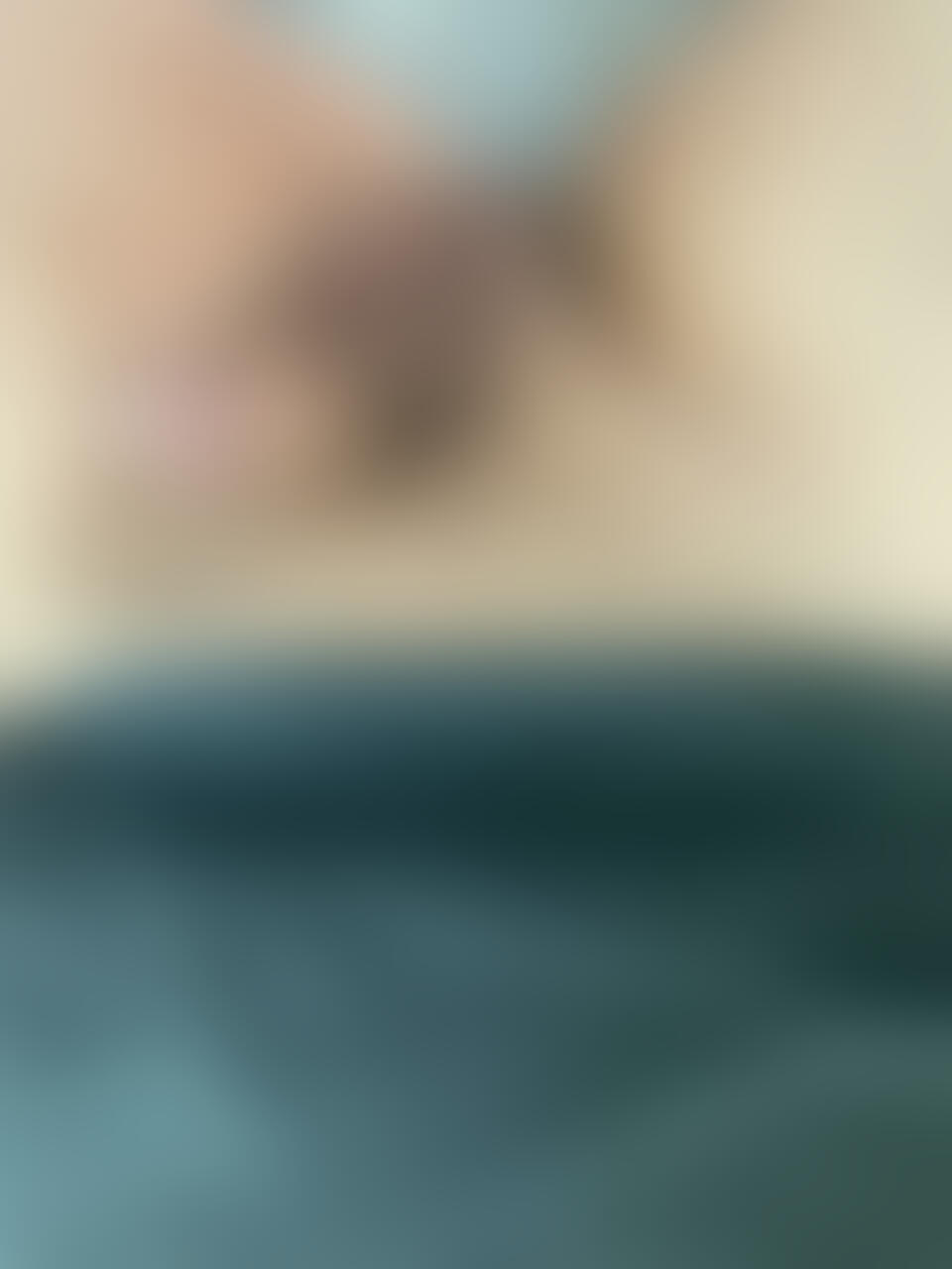 無題の投稿 sample 2
