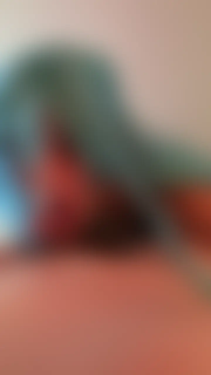 フェ○大好き(● ˃̶͈̀ロ˂̶͈́)੭ꠥ⁾⁾
お口にいっぱい出してくれありがと♭♭ (2/2)