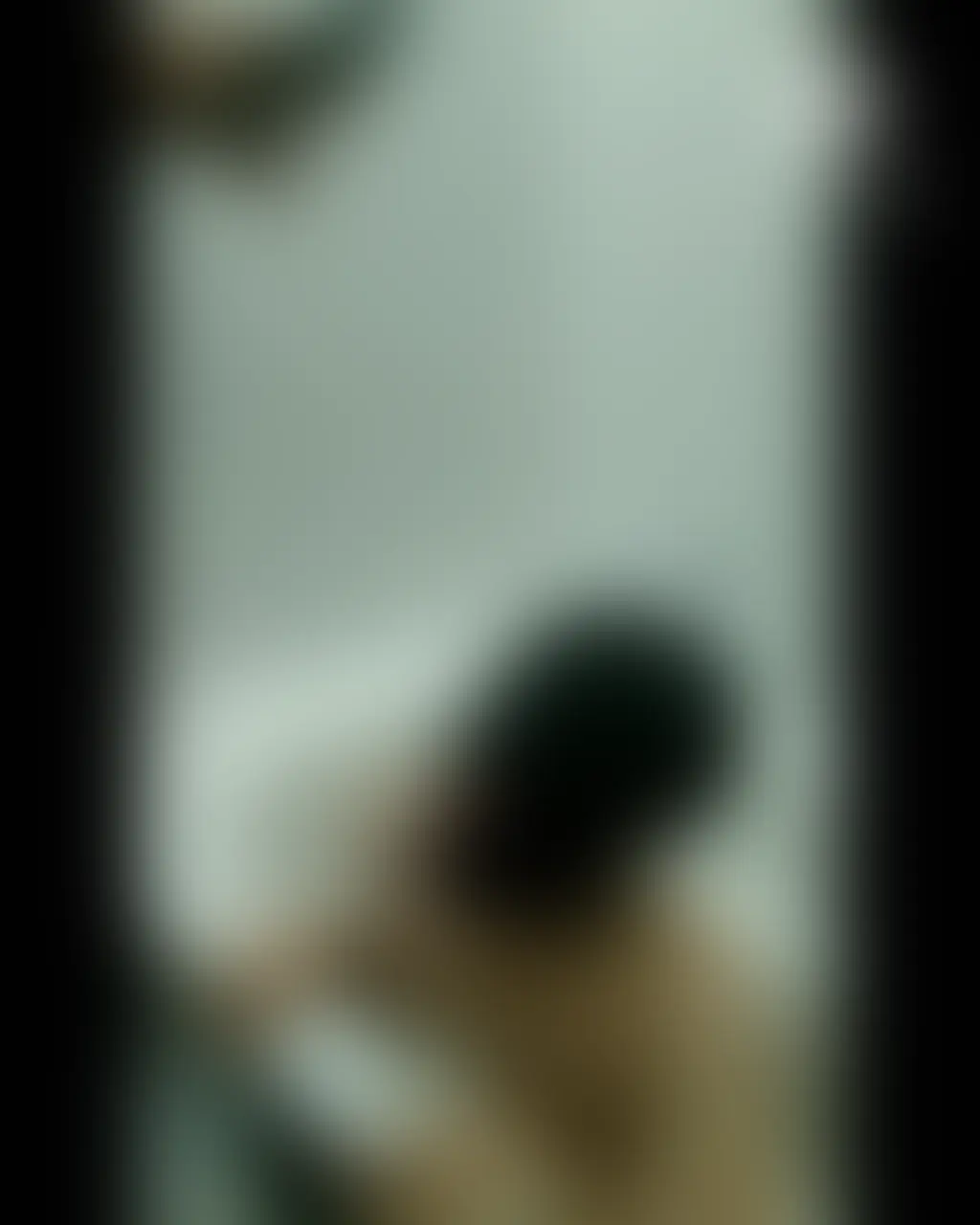 【単品購入希望】動画約6分 sample 1