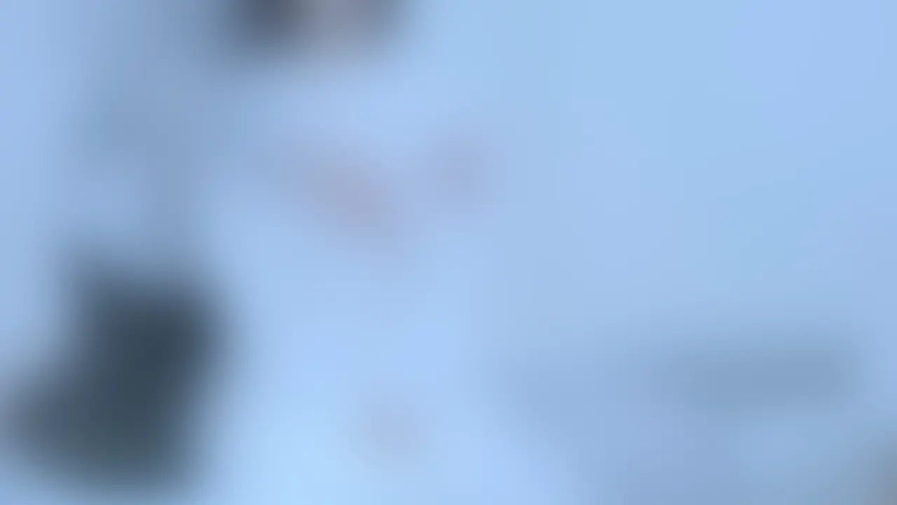 ライトプラン以上向けの動画になります。 (2/2)