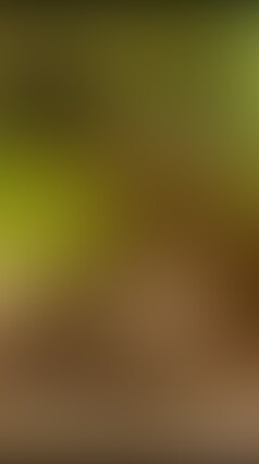 8-スパンキングされ中出しされる2パイパンOLみゆ27歳

第一印象は小動物のようにおどおどした雰囲気の虐めたくなる子でした　笑



裏垢女子として知らない人に会うのも、まだまだ慣れていない様子。



私が一人目だったかな？







36分







大きめの乳輪をつまむと羞恥心たっぷりの甘い声で鳴きます。







恥ずかしがりで終始可愛らしい甘い声で鳴いてます。



丁度いい大きさの柔らかいおっぱいは乳輪が大きめでエロい。そこ指摘すると顔を歪ませて『イヤぁ…』と反応してくれるとこがまた可愛らしい。







歳の割に慣れてない雰囲気ですが見た目はよくいる可愛いOLさんそのもの。







後日談ですが事務作業しながらセックス思い出して濡らしていたようですよ。
--↓ブログ兼ホームページ↓
https://twitter.com/mafi01190

完全オリジナルハメ撮り２００本以上(随時掲載）のリストは↓
https://myfans.jp/posts/b07cfbe3-0960-44d8-94cf-83bd2ea48a69

私の作品に出てる女の子達は一部を除いて実際に貴方も出会えちゃう素人の女の子たち。
この子の作品はすべておすすめなので色々観てみてください。

ちなみに一番のオススメ変態ドエムJDかりんちゃんシリーズの成人なりたてで撮った初撮り&アナル処女喪失は26番～
初アルファインプレイは60番～。
両穴にバイブ突っ込まれたまま遠隔操作され食事や買い物するシリーズもあります。
徐々に淫乱メス犬に堕ちていく初期からの変化を楽しむのも一興、オススメです。
リスト一覧から色々見てみてください。


出演者と実際にリアルで繋がりたい方は是非ブログ↑をご覧ください。

ツイッターで無償でセフレに出来そうな女の子をいつも漁ってるオジサンです。
当たり前ですが全員成人、公開許可も得ています。

全員本物の素人でモデルさんや身バレしたら本当に困る仕事の子なども中にはいるため、基本的に顔も隠していてモザイクも多めです。
声や言葉、スタイルやプレイ内容、躍動する身体などで好みの女の子を探してみてください。

※全ての作品において
・出演女性は成人です。
・販売することを目的として製作し、女性の許可も得ています。
・作品を購入した方が、第三者に提供、販売、それに類似した行為をすることを禁止させていただきます。
・作品の無断販売・無断転用、それに類似した行為をした場合は法的処置をとらせていただき、損害賠償請求を致します

※1日だけ限定配信！美巨乳や処女喪失っ子など顔出し動画を連日1日ずつ見逃し配信しています※見放題プラン入会は1日でも早いほうがお得！

他所では手に入らない未販売未配信の先行オリジナル素人ハメ撮り動画も定期的に有料プランにて配信。

ハメ撮り出てる子に※実際に※出会えます&※＆※ゲリライベント告知※※
また近日中に一日限定顔出し配信予定です。（実績として毎週行っています）今のうちに有料プランへ加入（継続）してお見逃しのないようにしてください。
あまり頻繁に出すつもりではなかったのですが、早い段階から月額プランへ加入してくれた方への感謝として暫くの間は、頻度を上げようかと思っています。

有料会員（見放題プラン）では、まだ未公開の完全オリジナル素人ハメ撮り動画やマイファンズ限定での1日だけ顔出し配信など定期的に行っています。
会員の方もこれから登録される方も引き続き宜しくお願い致します。

ーー自己紹介と㊙ネターー
ネットナンパ＆ハメ撮り大好きなおじさんです。
趣味でJDから30代まで幅広く手あたり次第口説いてハメていますが、口説くコツや食ったオジサン好きの女の子を紹介したりもしているので
※実際会って※
口説いてみては？
目指せ穴○○○○○○100人！
詳細はXまで@mafi01190
返信ないな、遅いなと思ったらツイッターまでお越しくださいませ。＠mafi01190 (2/2)