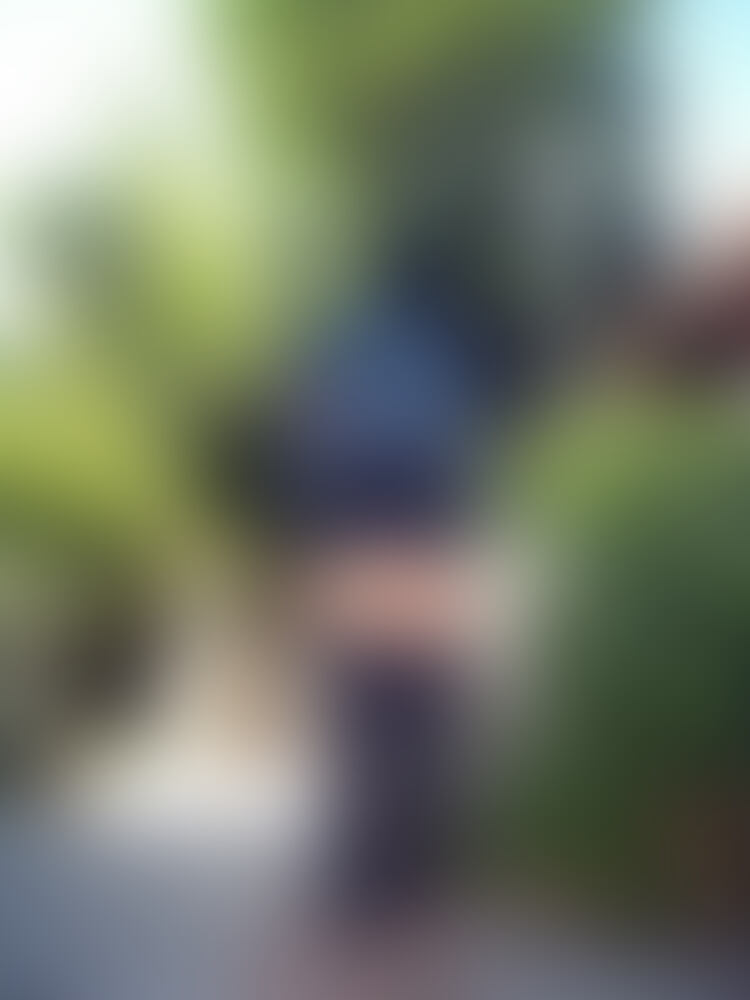 蘭ちゃんのメモリー「無題」の投稿サムネイル
