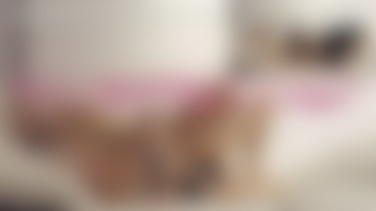 セクシーランジェリーを着たよ (2/2)