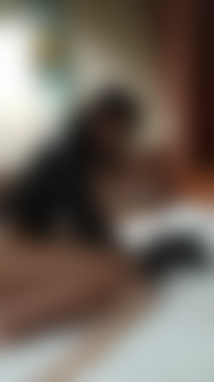 ○○○め締め落とし、顔面騎乗、乳首責め動画 (2/2)