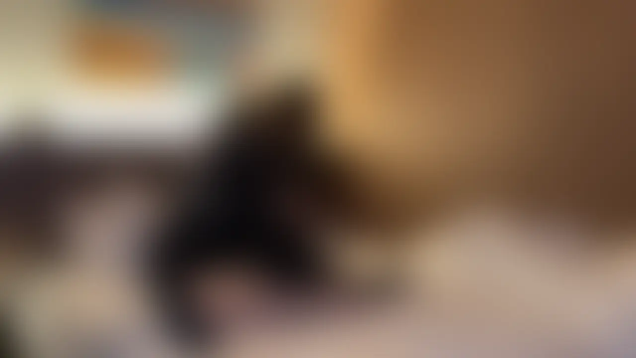 【彼氏持ち変態巨乳】
ちんぽ奥までぶち込んだら「そこ垢ちゃんのおへや」ってイきまくりの変態。
触っただけでもビクビクしまくりで敏感すぎ笑
五日間溜まった濃い精子を中で出してやりました。 (2/2)