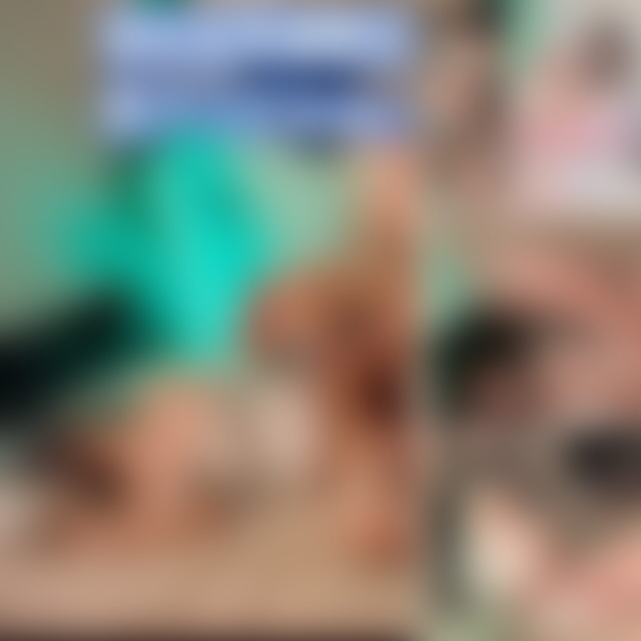元彼とえっちしちゃダメですか？の
 別アングルVer.です🥰
 こちらは有料プラン限定の動画です♡
 有料会員の皆様
 いつもありがとうございます💕
 フルVer.はこちら❤️↓↓↓
https://myfans.jp/posts/e4ac271c-cdc1-4053-8b64-9934ce3b66ec (2/2)