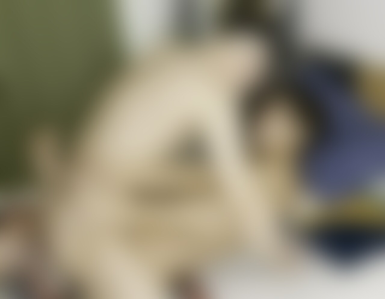 GOGOボーイ犬飼君ガン掘り後編です🐶 sample 1