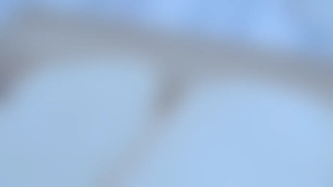 ライトプラン以上向けの動画になります。 (2/2)