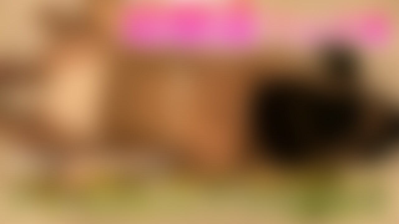 YOUTUBE完全未公開映像
あなたたちだけの秘密です💗

やって欲しい企画、見てみたいポーズありましたら教えて下さい！！ (2/2)