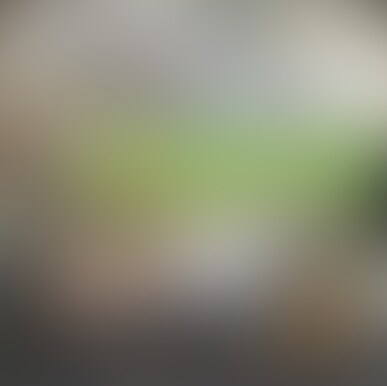 とらに目隠し手錠ギャグボールを装着して○○○束プレイ🐯 sample 1