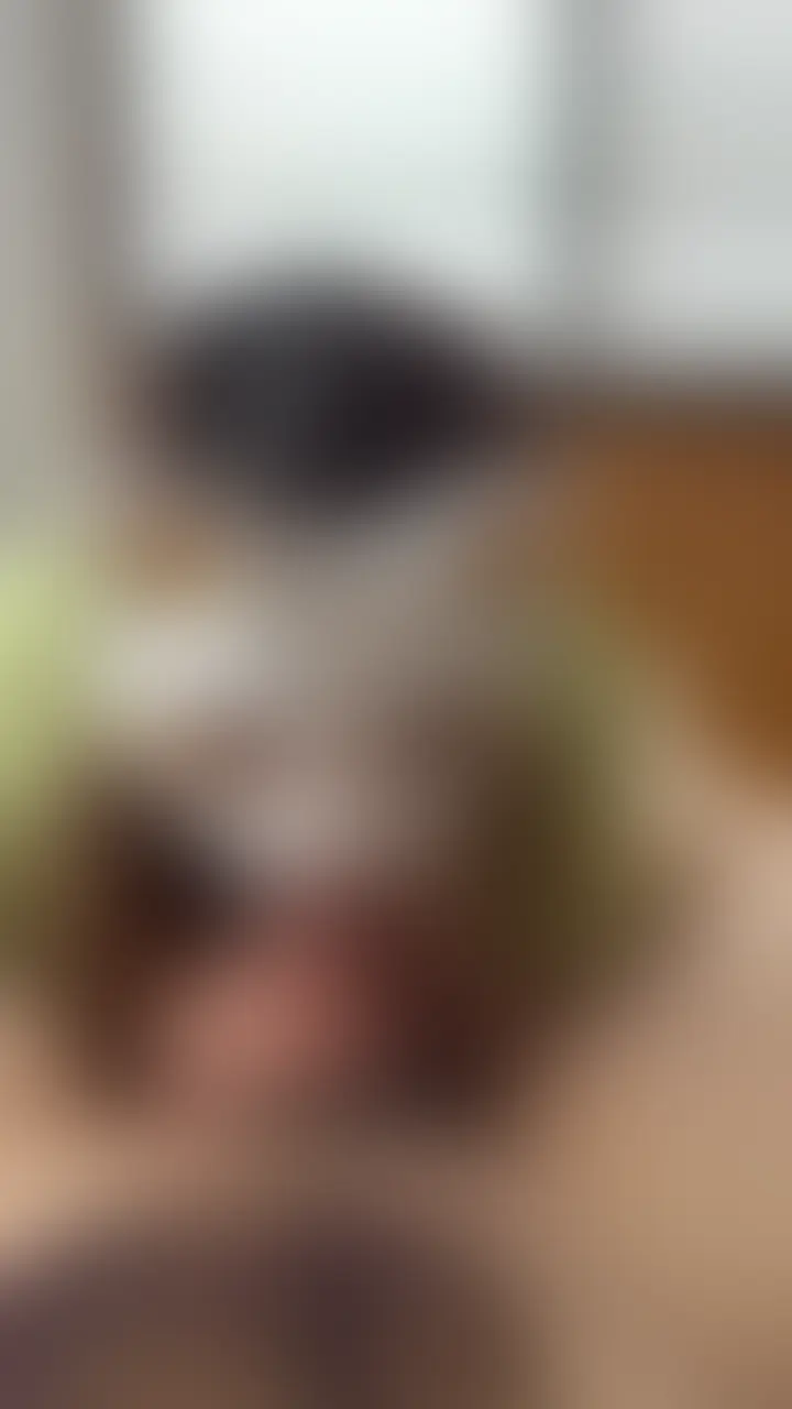 配信を終了しホッと一息つかうかというところでいきなりフェラを始める人妻‼️
どうしたのか聞くと精子が飲みたいとフェラ抜きする変態ぶり🫣
もちろんしっかりお口に精子を出してあげました😆 (2/2)