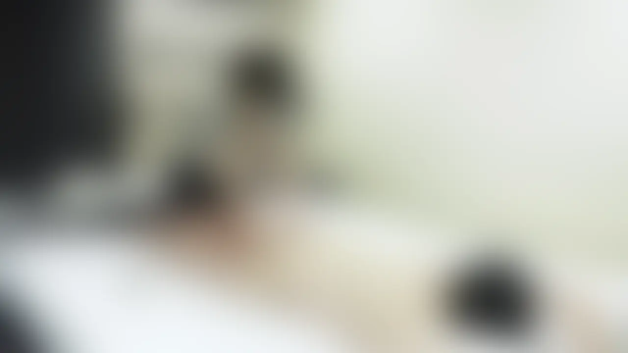 34歳／Nカップ／業界未経験
みやび｜グラマラスボディ

斜め視点（全3視点中 3本目）
※別視点も順次配信予定。
――――――――――
＜顔出しNG＞

業界未経験とは思えないくらい、ずっと距離が近くて…
気づいたら、自然とそういう形になってました。
そのまま止まらなくなってました…

※予告なく動画を削除する場合がございます。
――――――――――
【別視点】
・頭上視点
https://myfans.jp/posts/212a324c-ed13-4781-a722-41c5c8eb31e3
・横視点
https://myfans.jp/posts/90eb5eaa-96a3-46c6-831e-437b5814ff5e
※全視点はアルティメットプランで視聴可能
※単品購入にも対応しています
――――――――――
【視聴方法】
●プレミアム／アルティメット加入で視聴可能
●単品販売（購入後は販売終了後も視聴可能） (2/2)
