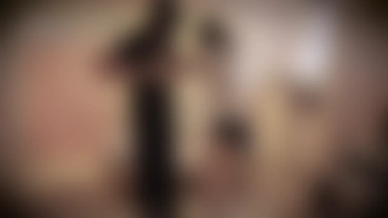 【ツインテブルマん娘がイキまくりのボッコボコ】
Xで未公開の動画も含む長編完全版です!
ツインテールにブルマ姿の女の子をあの手この手でいじめて快楽責めにしてやりました。指を入れるだけで勝手にイク可愛い雑魚メスちゃん。最後は背中にぶっかけてあげました。
〜収録内容(56分)〜 (2/2)