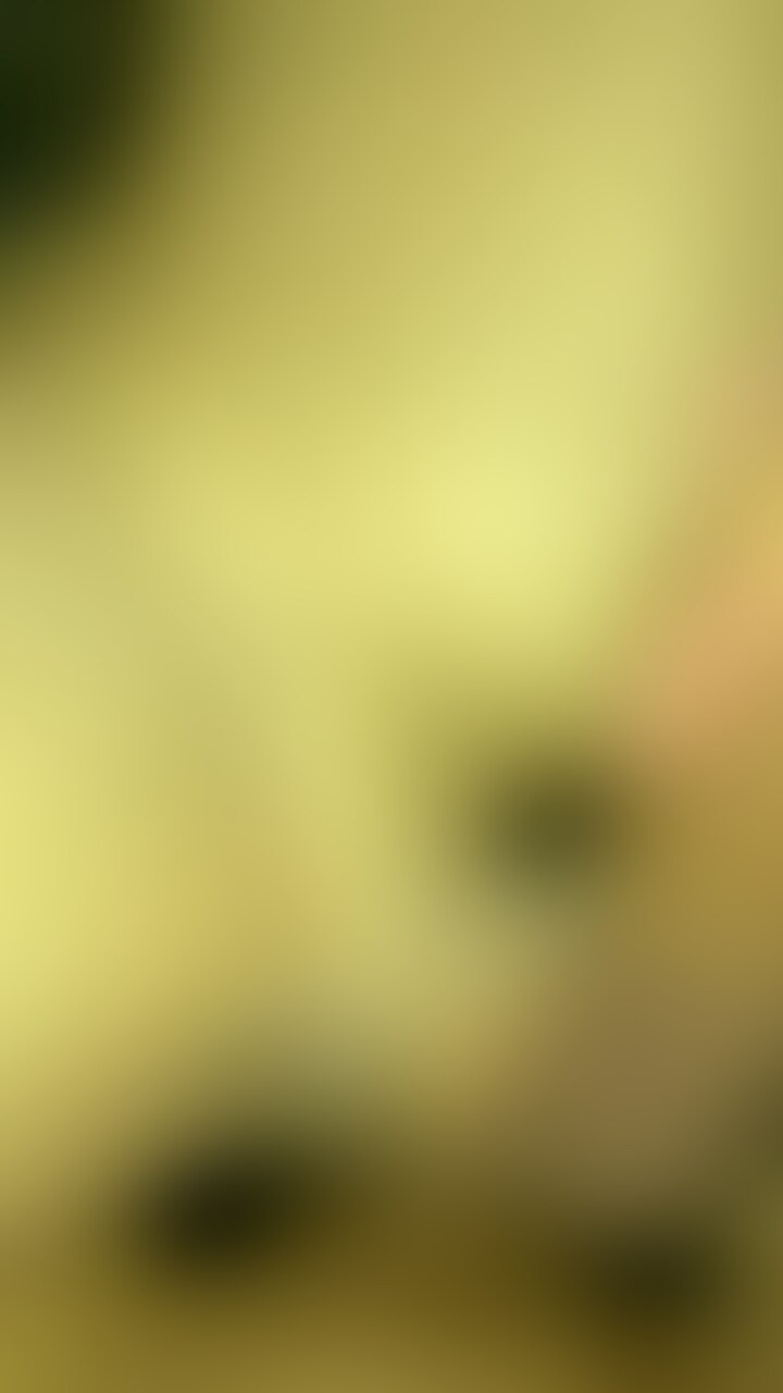 980円プランか111円から動画見れます🍀 sample 1