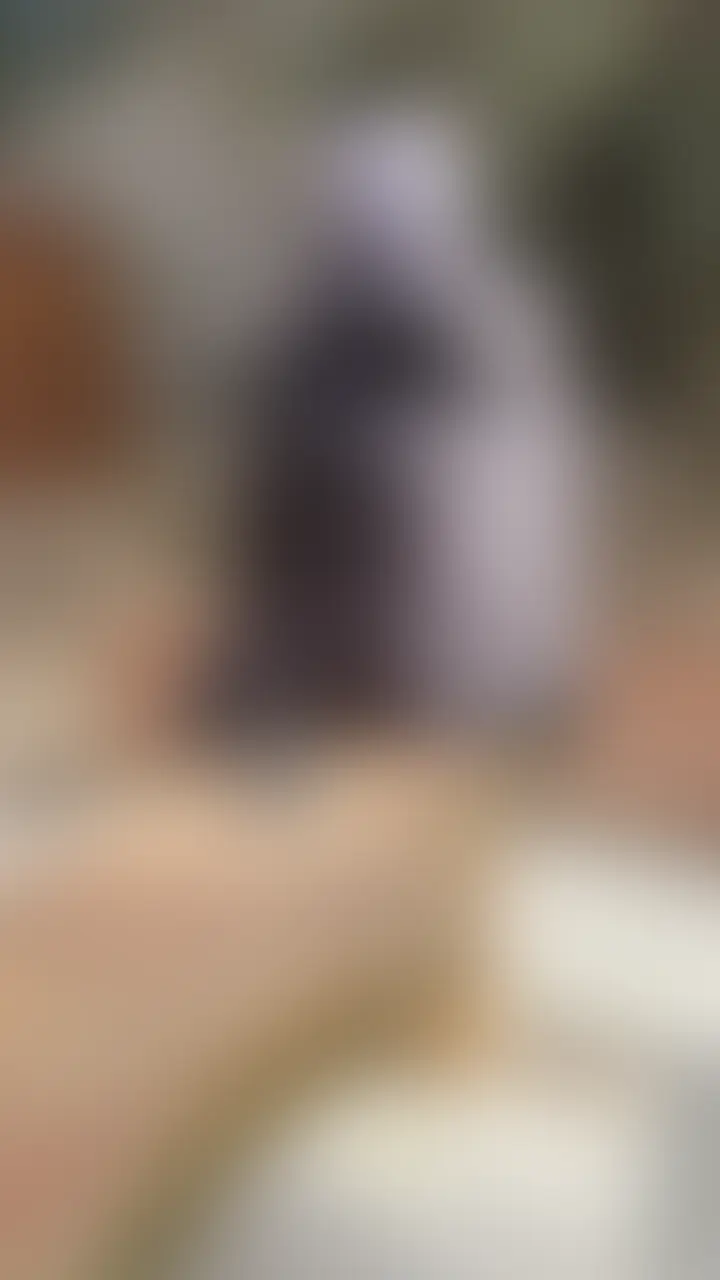 鬱蒼とした山の中に設置された木製ベンチでのアナニー動画です。
シチュエーションに合わせて牛と化したCの尻穴を使って据え置きアナルプラグをぶち込んでいきます👍

Xでは切り取りしかアップしていない動画のCアングルで通しになります✨ (2/2)