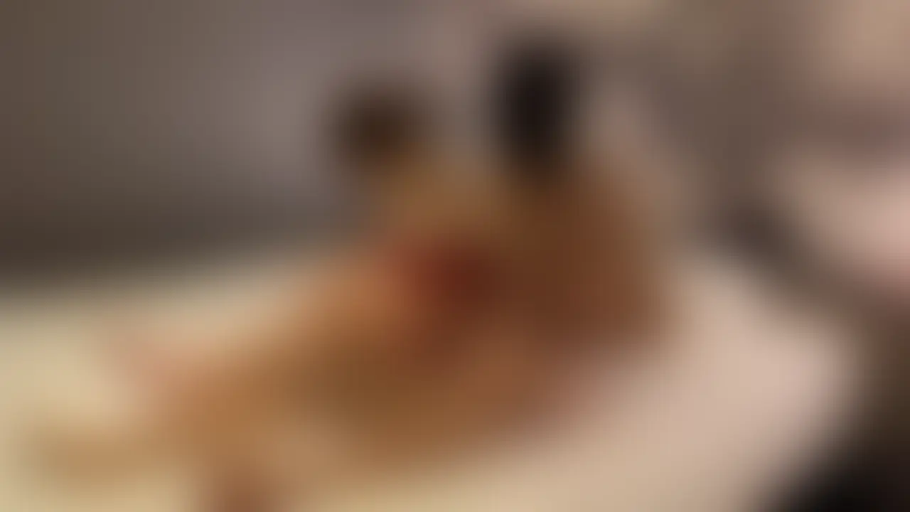 イケメン単独さんとのNTR。

いつもと違い相手がイケメンなので妻の感じ方も違います。 
おもちゃでイカされ、イラマチオもされます。

そして口に出したいと、単独さんに迫られてなんとOKしてしまう妻。
まさかOKすると思ってなかったので興奮しました！
 
ぜひお楽しみください！ (2/2)