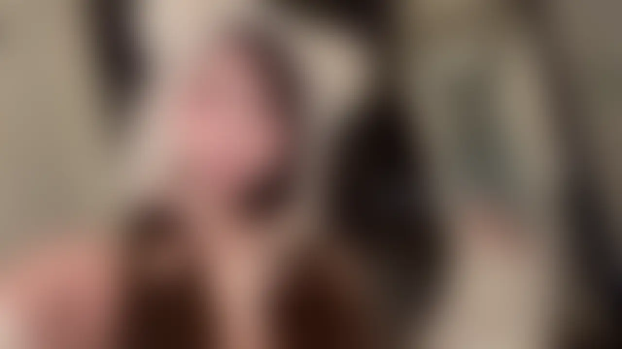 とある日のおち〇ぽ遊び、、、♡♡
りおに遊ばれたいと思ったら右側の「いいね♡＆保存♡」を押してください🕊️♡
 ―――――――――――――――――――――
 ※本編はボカシ無し完全顔出しです。
 

【前編】
実は3年前からフォローしてくれていて、ずっとDMでわたしに会いたいですってアプローチしてくれていたでかちんお兄さんと実際に会って遊んできました、、、。


例の如く、今回の前編動画はフェラチオ多めです…🥺


本編は300いいねいったら限定公開しちゃいます…。
フォロワーのでかちんお兄さんをフェラで抜いてあげるだけだったはずが、、、！？ (2/2)