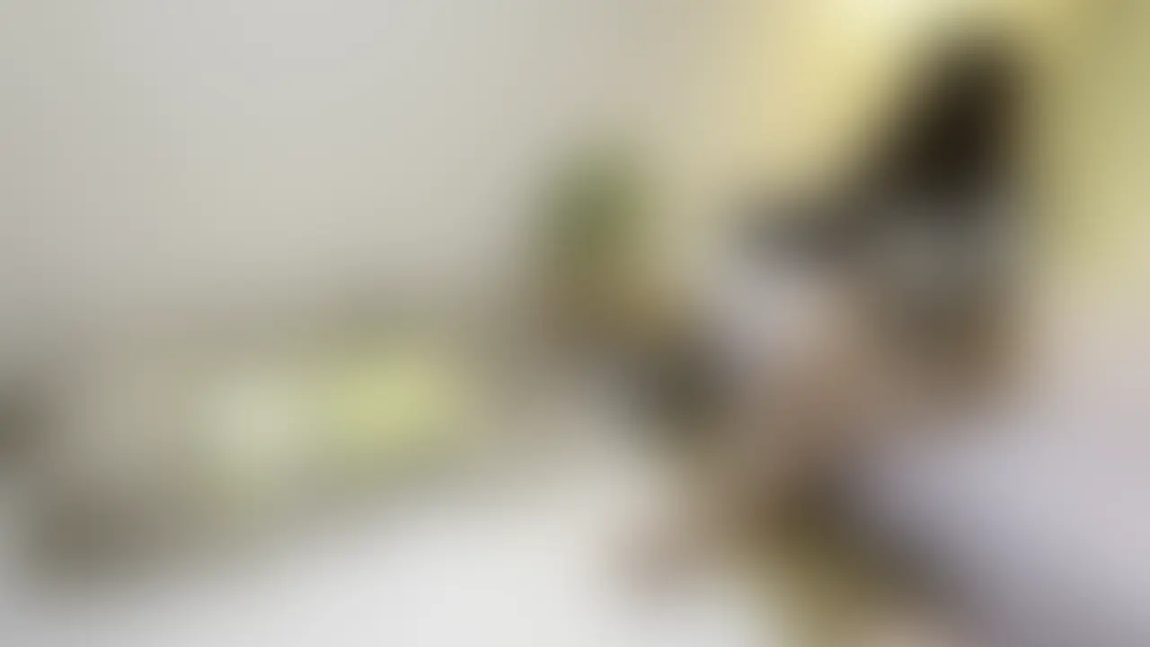 あねきは悪魔だ!友達とおさななじみを煽って3人で俺を集団電気アンマで逝かせる
【ラグジュアリープラン、単品販売専用動画】
"サキュバス級の悪魔の俺のあねき。昔から事あるごとに電気アンマをやられてたんだけど…
そしておさななじみの永衣...
姉貴と友達の珠ちゃんで公園で話してたら幼馴染の永衣が通りかかった!
永衣は小さい頃に俺とあねきが的にしてた子だ。
通りかかる永衣を呼び止めるあねき、怯える永衣
自宅に永衣を連れて帰ってあねきと珠ちゃんで電気アンマの刑を執行したらしい
そして次のターゲットを俺に定めたようだ!
悪魔のあねきが俺に電気アンマを仕掛けてくるから、もちろん反撃してやったんだけどそこで珠ちゃんと永衣を呼ぶ!あっさり2人に押さえつけられあねきの電気アンマで逝かされる俺...終わった...
予想通り全員から電気アンマの洗礼をうけて逝かされまくった! (2/2)