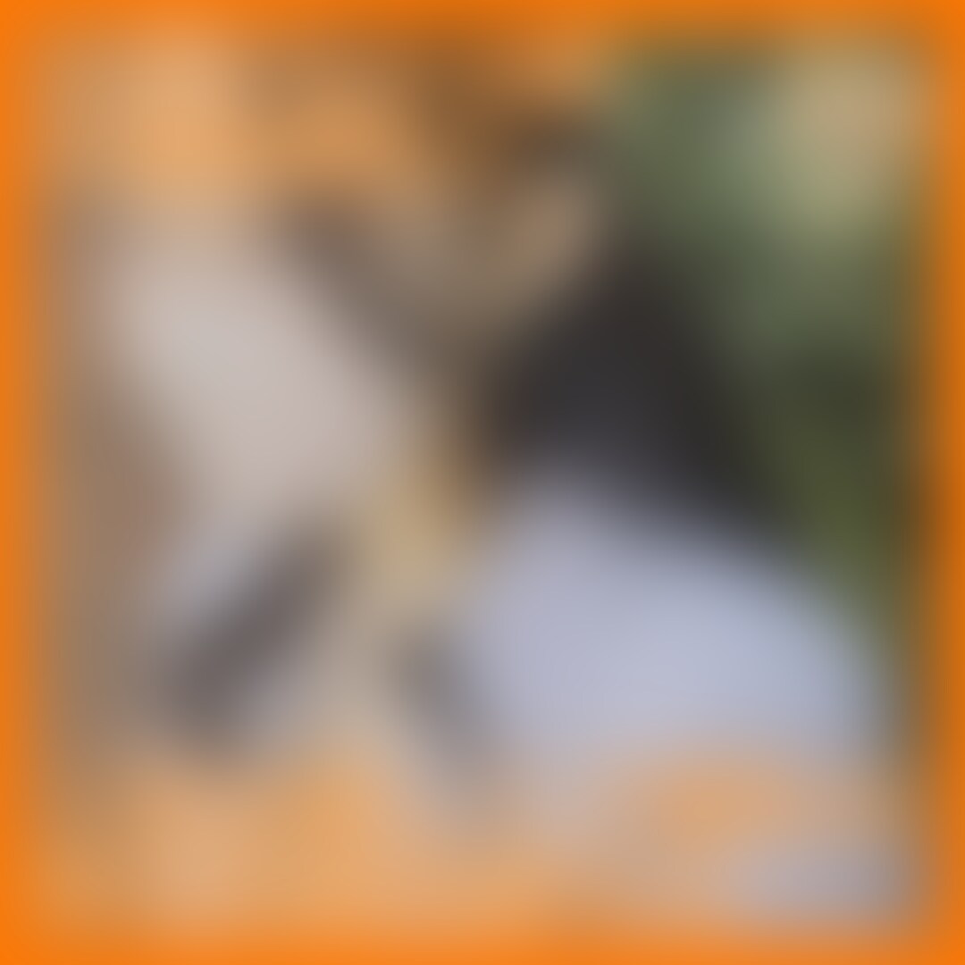 G杯巨乳即/26/歯科衛生士/スト値6/中出し済
2回戦はガチハメプラン限定👇
https://myfans.jp/posts/e457d0fa-86fc-4ad5-b6a2-0db477ff1586?utm_medium=referral&utm_source=share&utm_campaign=post_share (2/2)