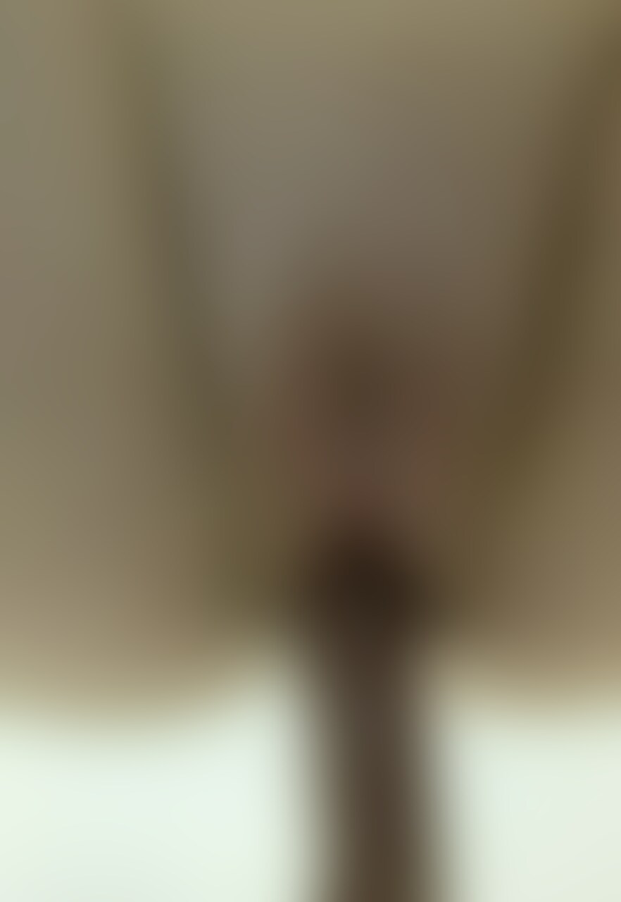 第1弾!バック大好き後ろから○○○されたい💕 (2/2)