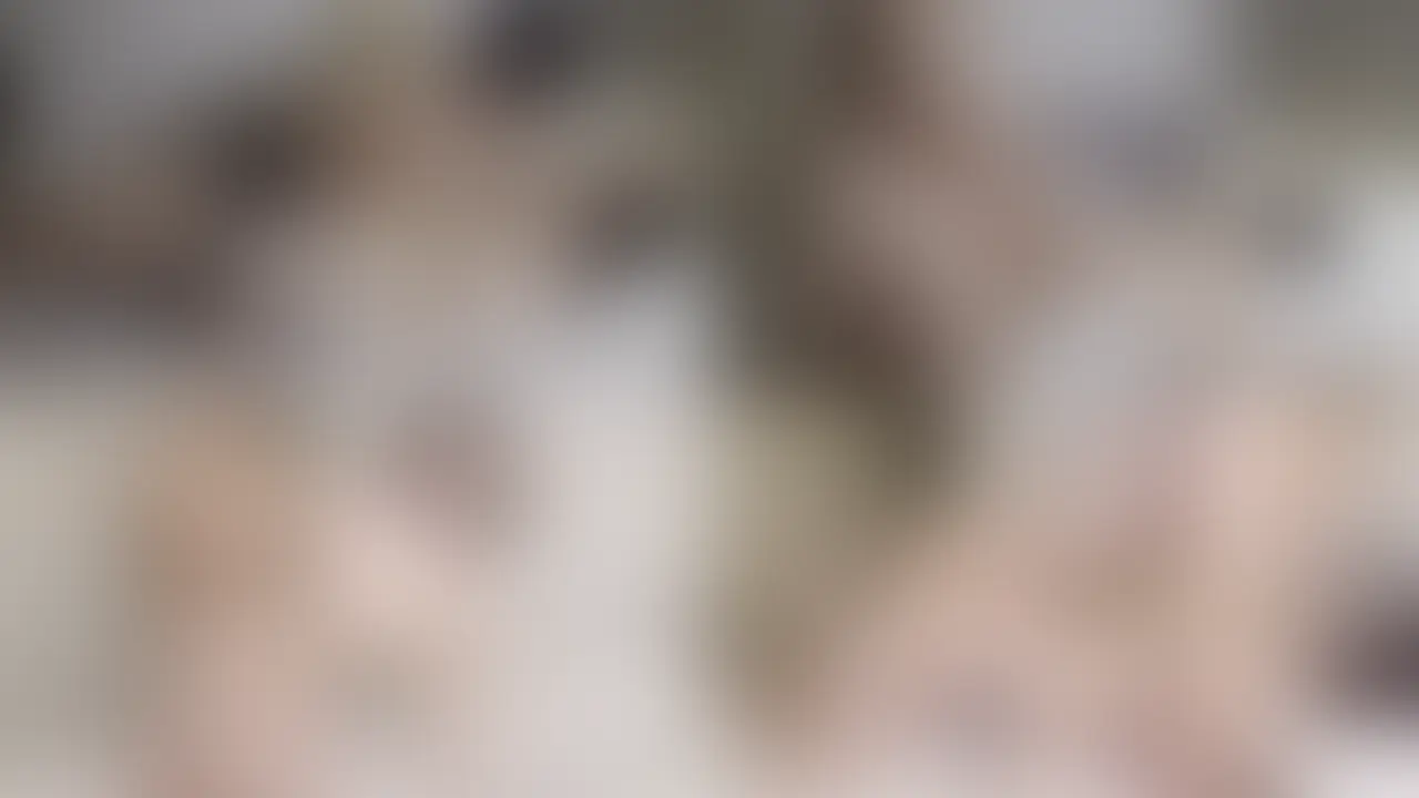元グラビアアイドルのHカップの色白爆乳お姉さん④ラスト
色白すぎて血管が浮いてきてる爆乳お姉さんとの最後の動画です。オイルマッサージからのお遊び動画になります。 (2/2)